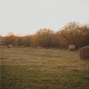 Meet your Posher, Tasha